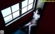 Koharu Suzuki - Usa Download Bokep P6 No.91d777